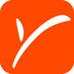 payoneer icon